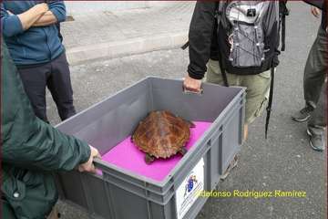 Ruta por la costa en memoria de José Luis González Ruano (Foto Ildefonso Rodríguez y TA)